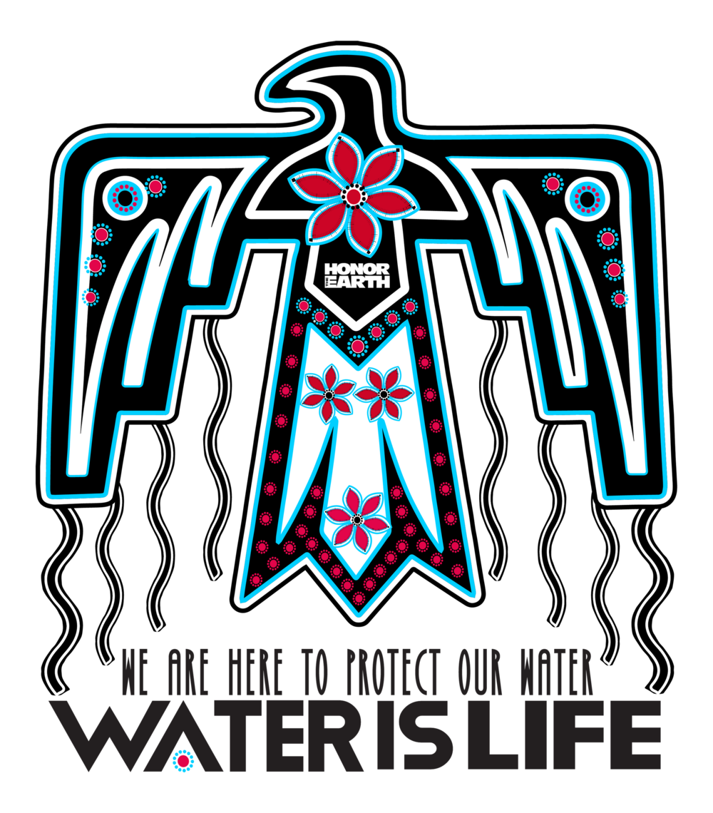 2019 Thunderbird (Water is Life)(Decal).png