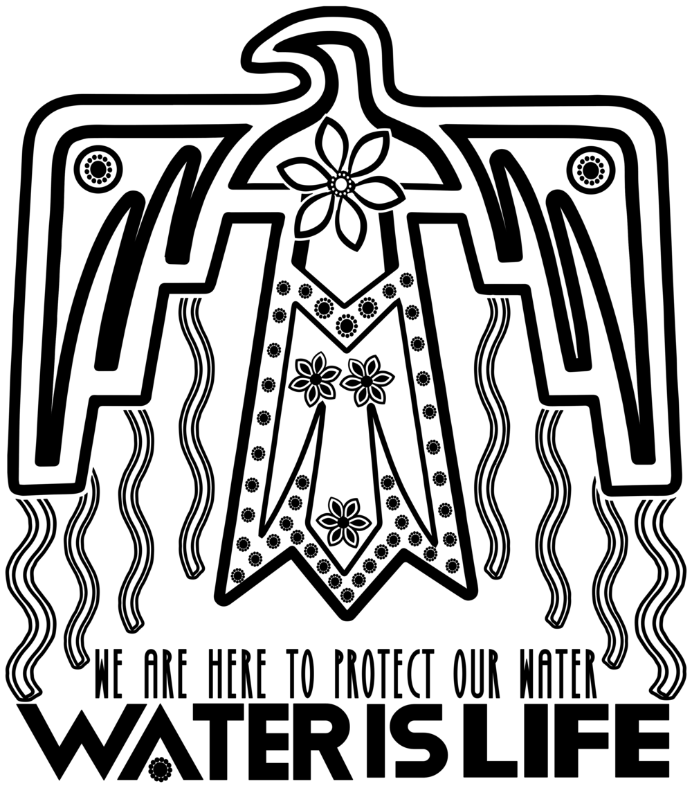 2019 Thunderbird (Water is Life).png